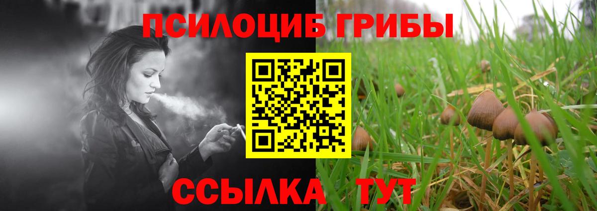 Кострома  Псилоцибиновые грибы Psilocybine cubensis  Вход с VPN 