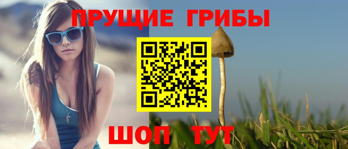 Галлюциногенные грибы мухоморы Кострома